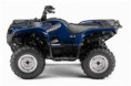 /album/fotogaleria/cuatrimoto-yamaha-grizzly-550cc-mn4-2685-mlm24017852-6925-o-jpg/